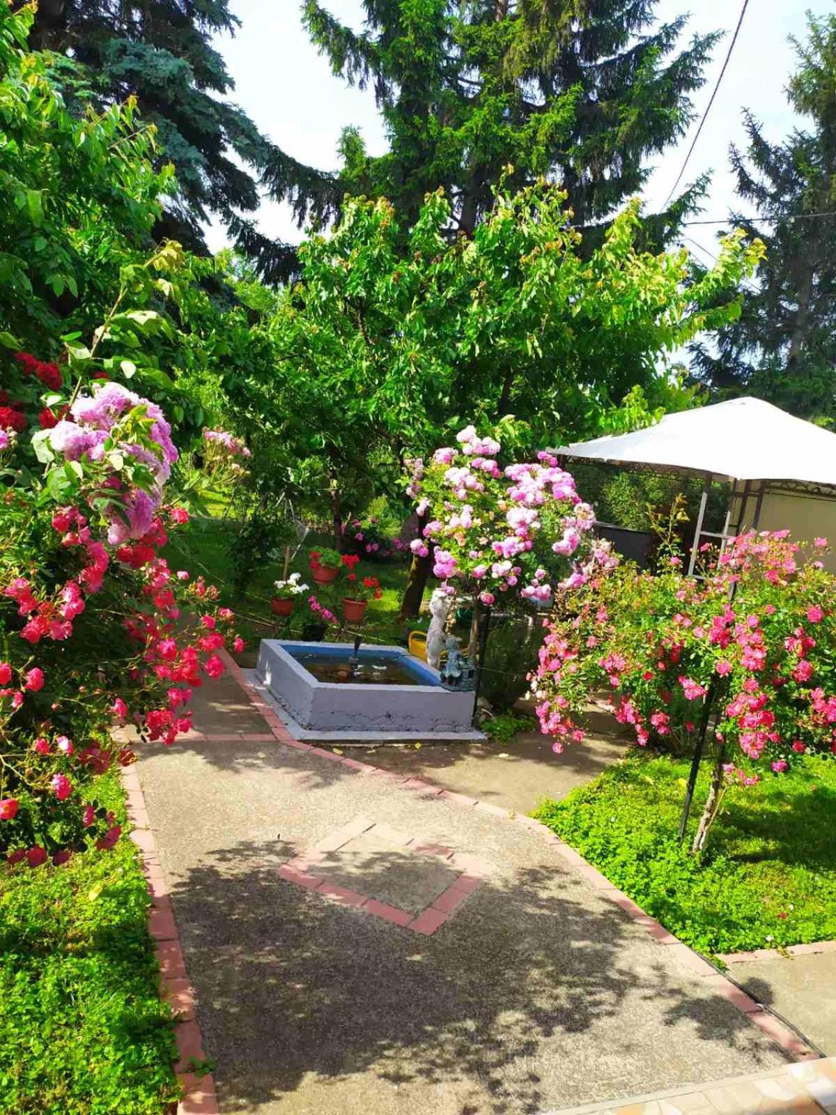 Apartment Ljupka Pančevo Buitenkant foto