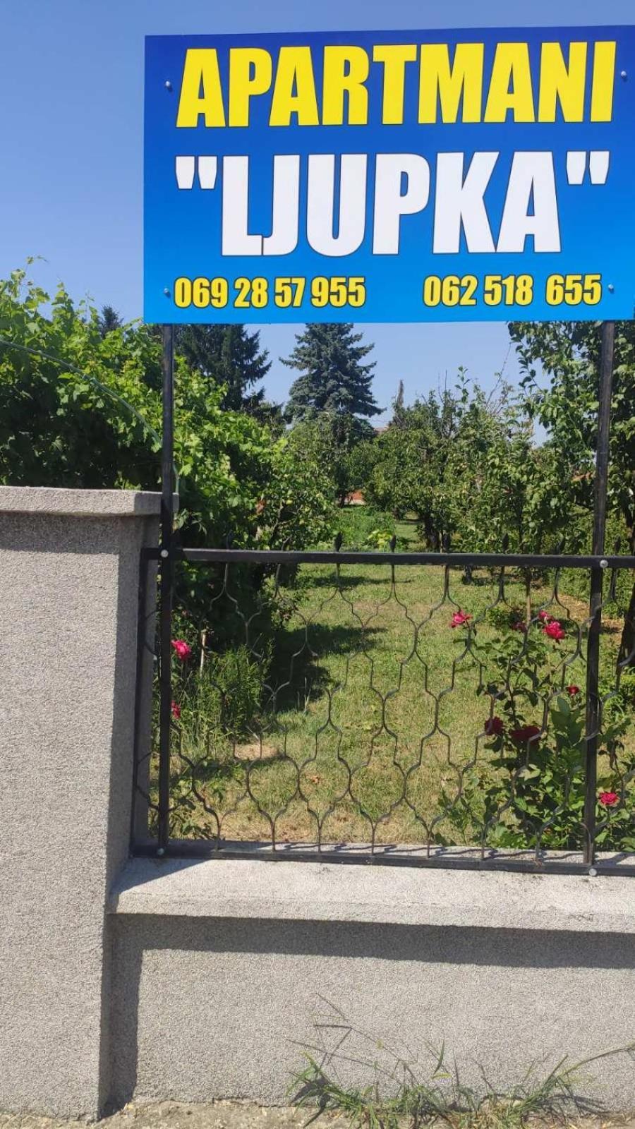 Apartment Ljupka Pančevo Buitenkant foto