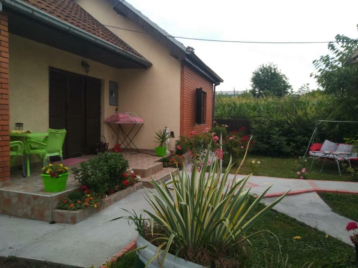 Apartment Ljupka Pančevo Buitenkant foto