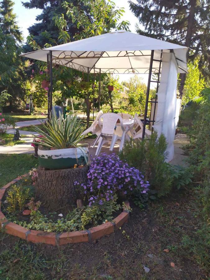 Apartment Ljupka Pančevo Buitenkant foto
